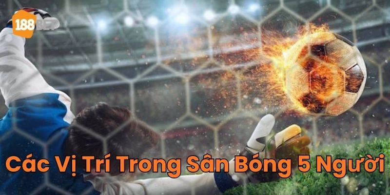 Giới Thiệu Các Vị Trí Trong Sân Bóng 5 Người Mới Nhất 2026 Các Vị Trí Trong Sân Bóng 5 Người là gì